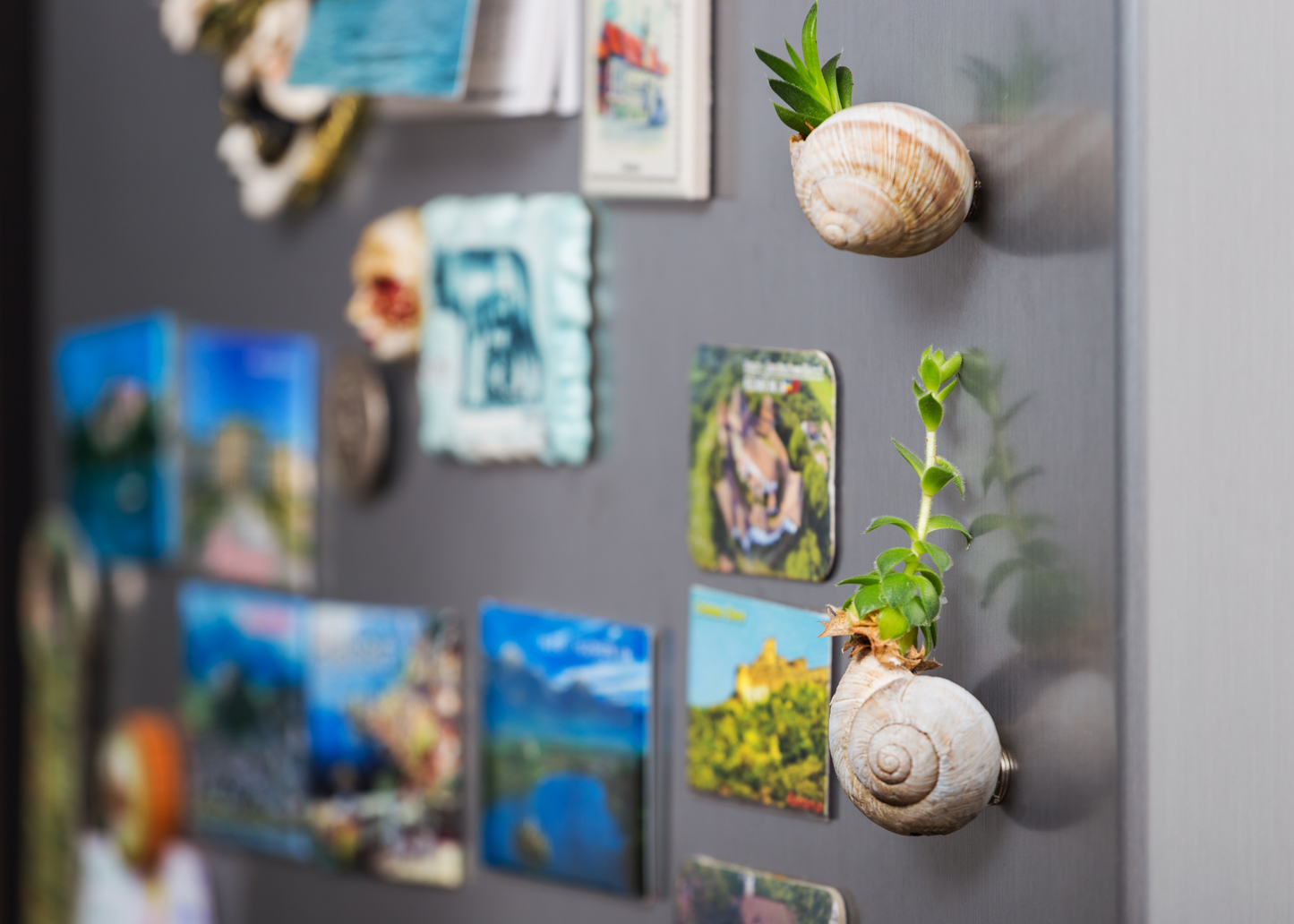 CUSTOM FRIDGE MAGNETS 2.5" x 2.5"